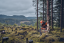 HUSQVARNA 540 XP® Mark III