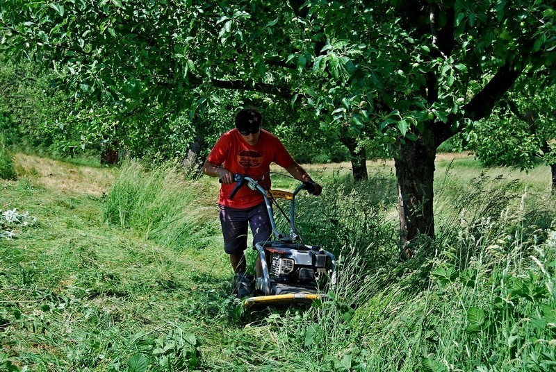 Pohonná jednotka Panter FD2 L224 s bubnovým sečením RZS70K