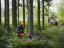 Husqvarna 450X